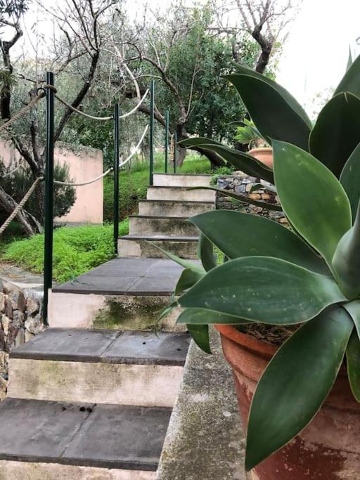 Appartamento per 2 persone con vista sulle Eolie Casa Spisidda "Lipari"