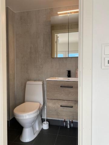 Trolltun, Frystevegen 4