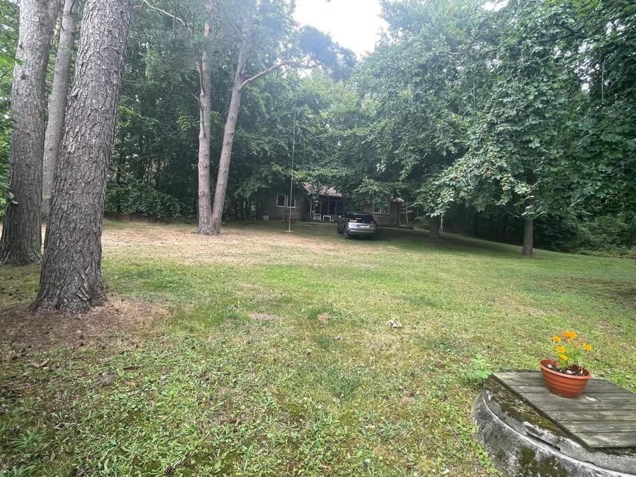 Lönnekullen, enkel sommarstuga mitt i skogen på Österlen med dusch ute