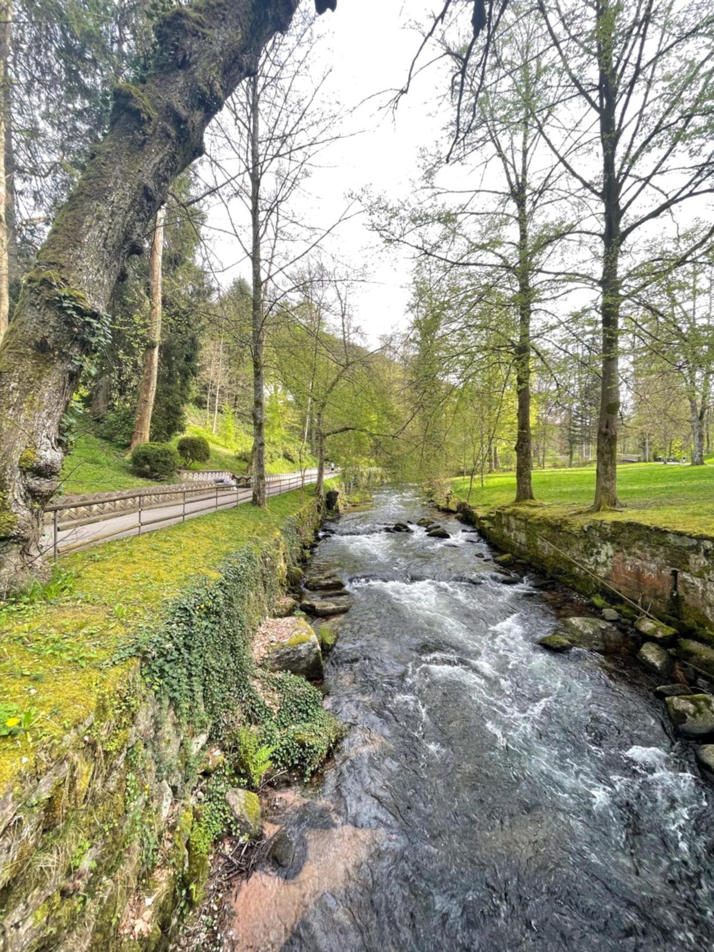 Bad Wildbad. Appartement 2.3 in ruhige Lage.