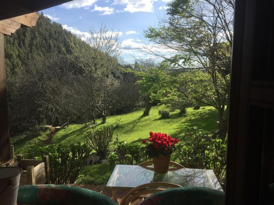 Los Acebos de Peña Cabarga, Cúpula experiencias