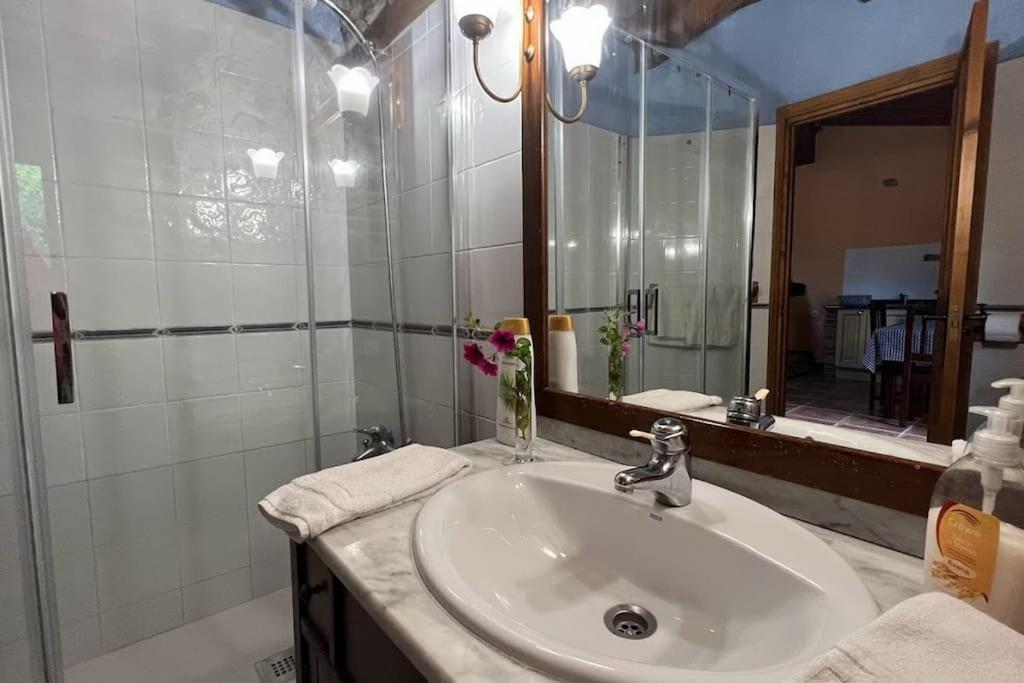 Los Acebos de Peña Cabarga, Cúpula experiencias