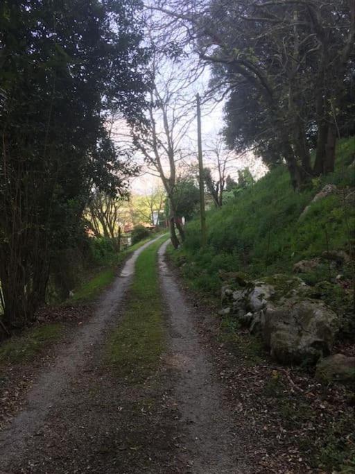 Los Acebos de Peña Cabarga, Cúpula experiencias