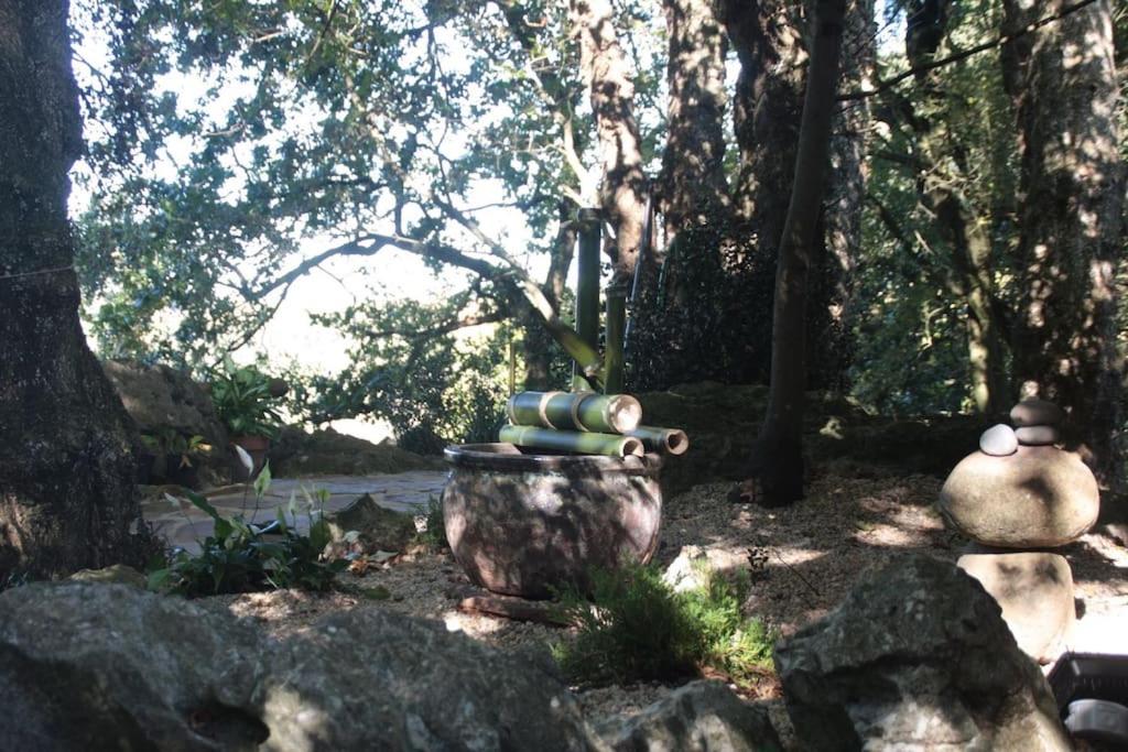 Los Acebos de Peña Cabarga, Cúpula experiencias