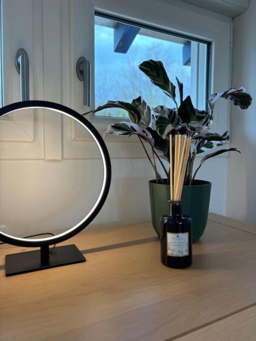 Appartement 14 - Le Lion d’Or