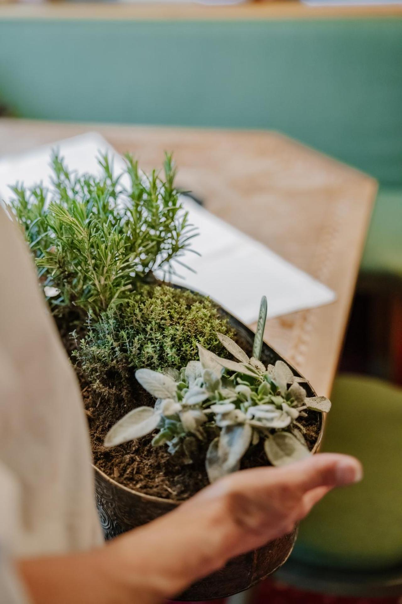 Hotel-Pension Faneskla