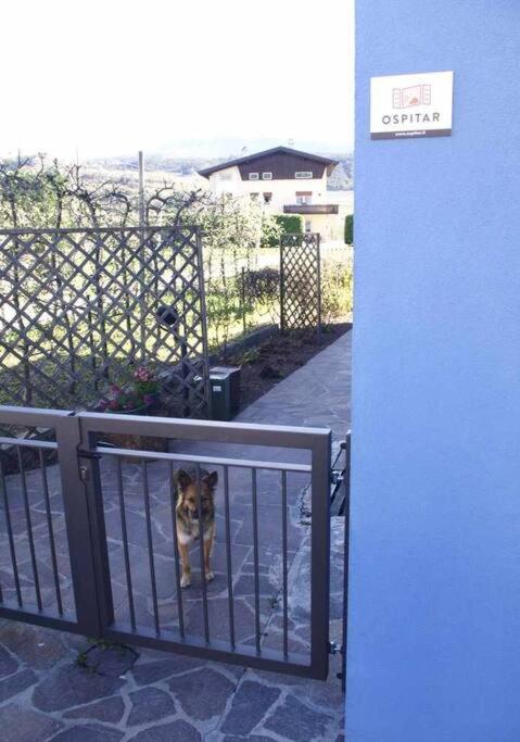 Casa del Tempo Irma Tassullo Ospitar