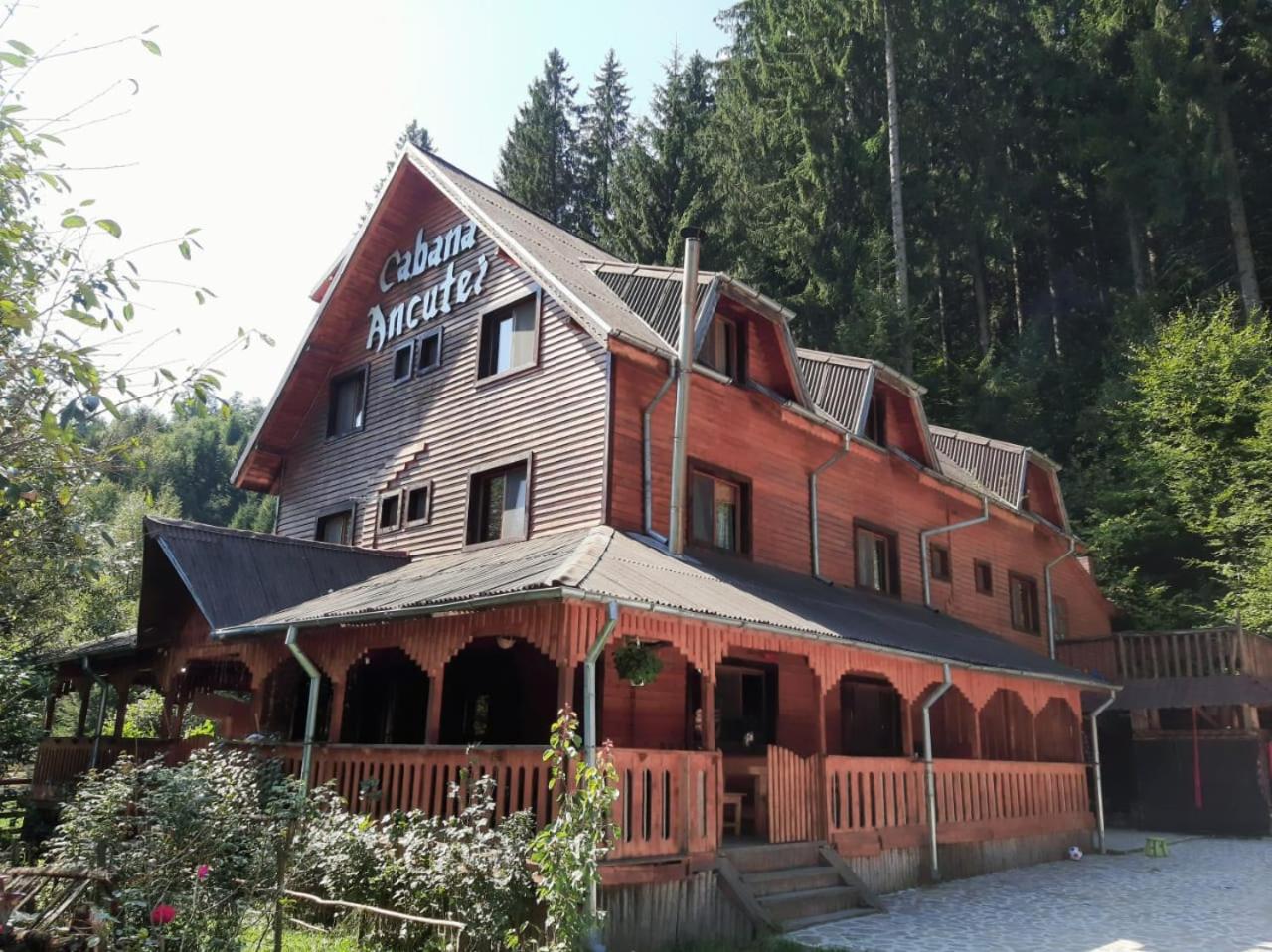 Cabana Ancutei
