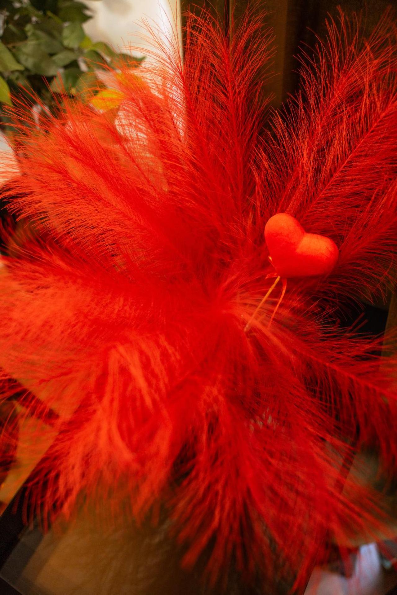 Love room Casa Amore