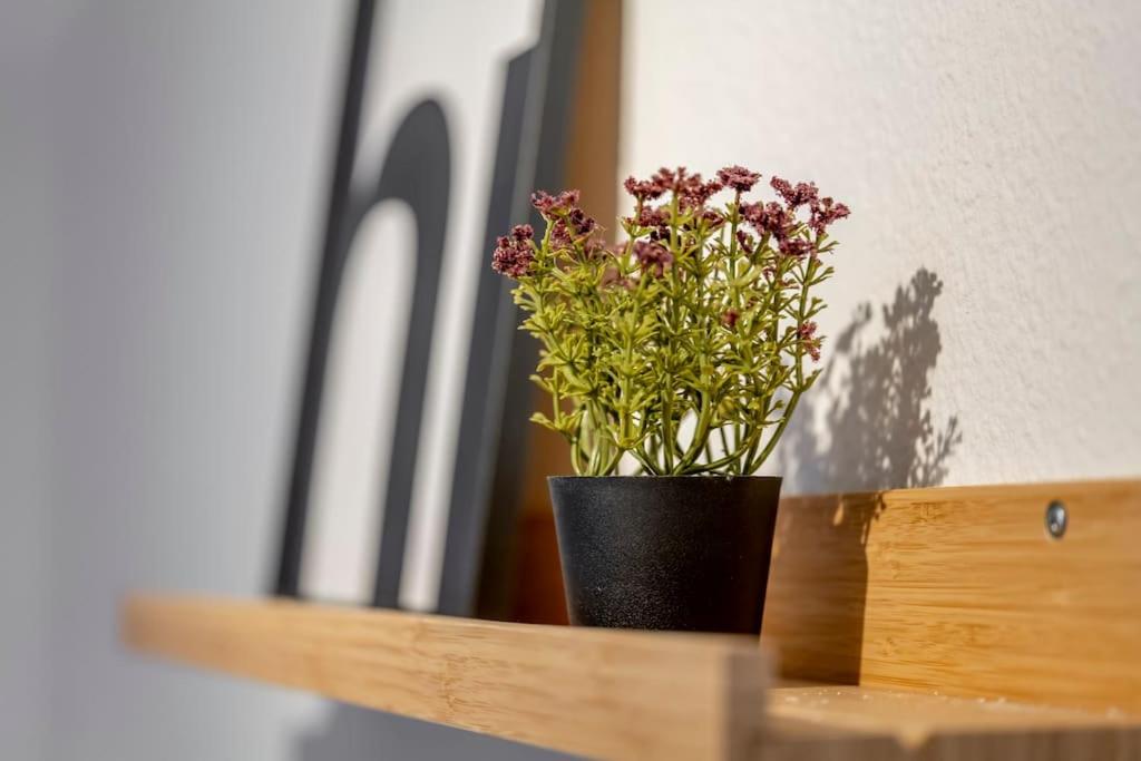 Himmlische Altstadt-Maisonette