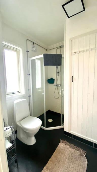 Green Forest Oasis & Sea