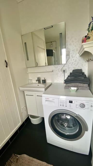 Green Forest Oasis & Sea