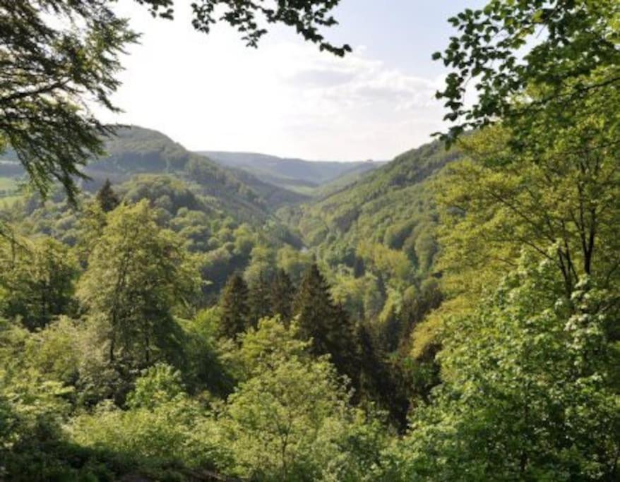 Luxuriöse Penthousewohnung mit Fernblick und vielen Wanderwegen