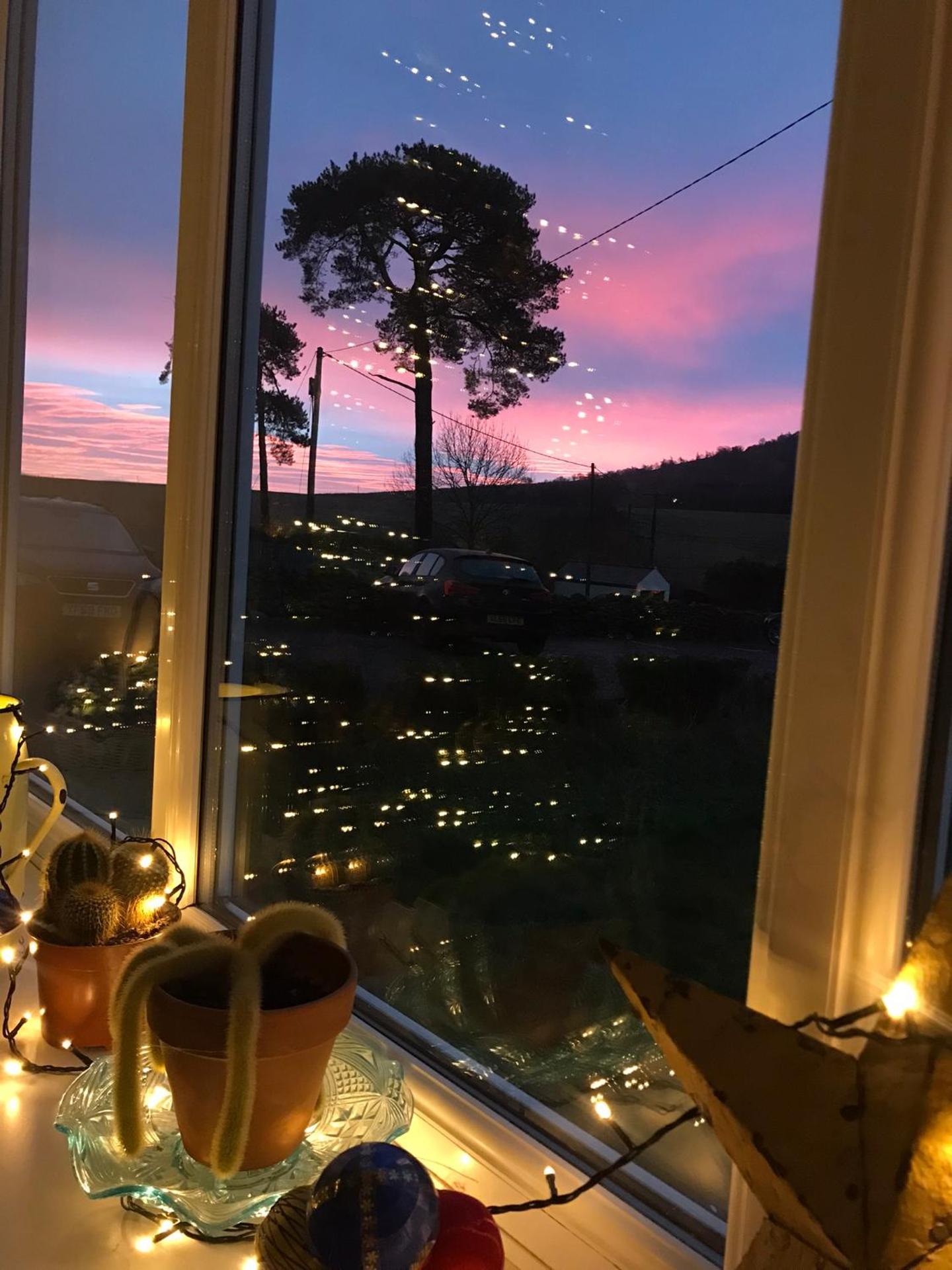 Netherdene Country House Bed & Breakfast