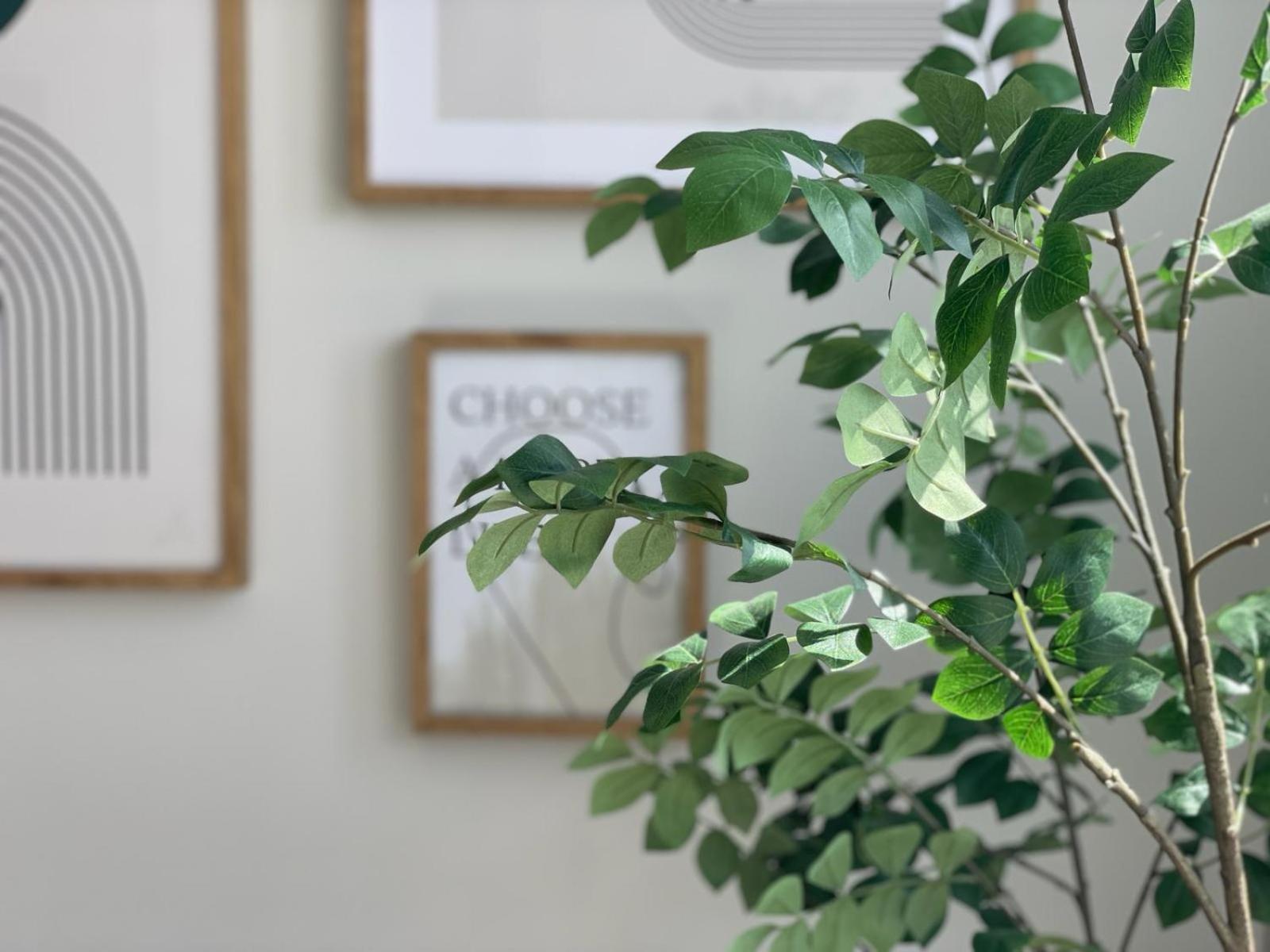 APTO Exelsior, Yumbo, Dunas y Playa