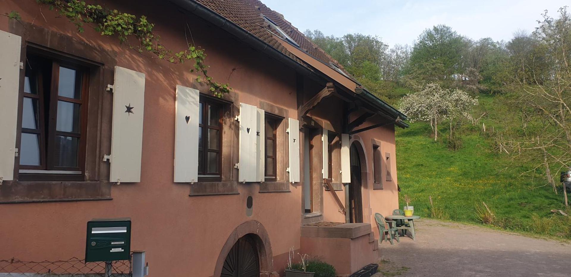 View (from property/room)