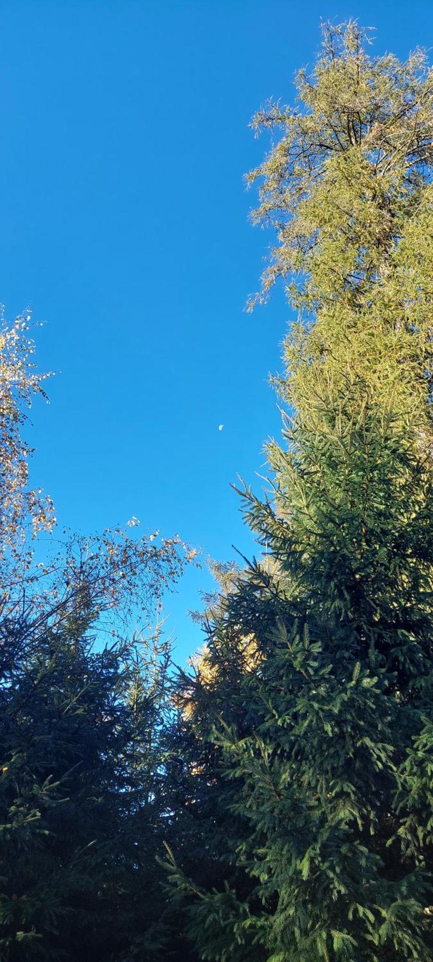 Chata na samotě, Šumava