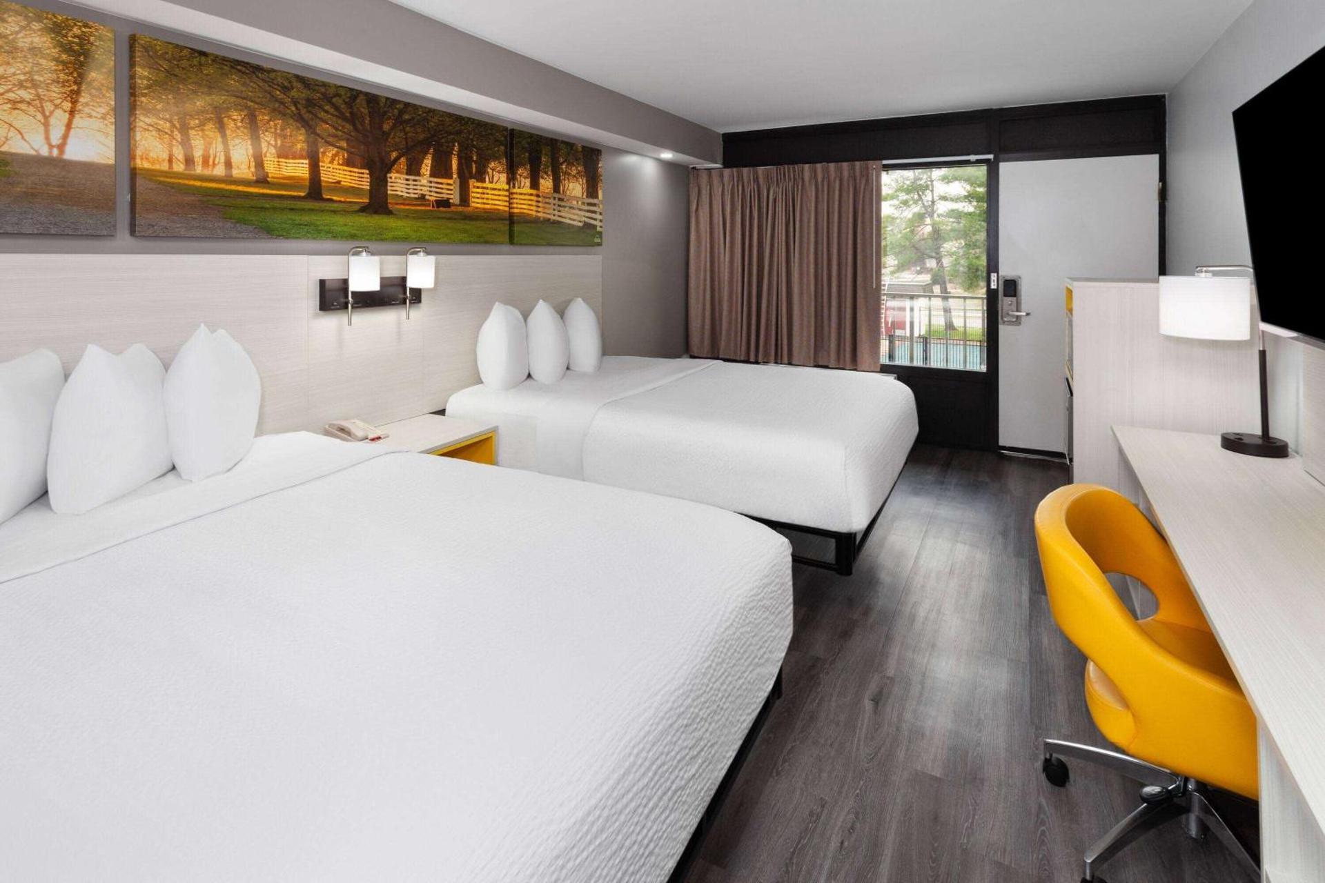 Photo of the whole room