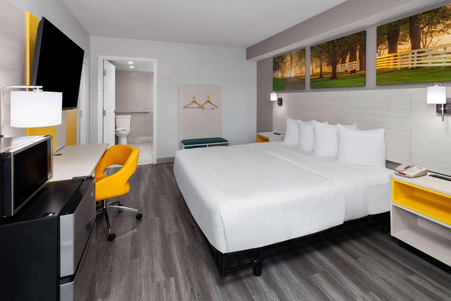 Photo of the whole room