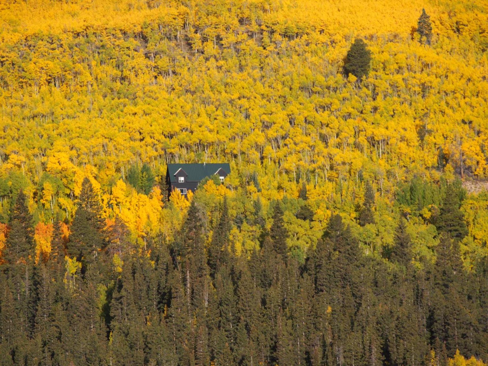 Aspen Ridge-Mountain Adventure House