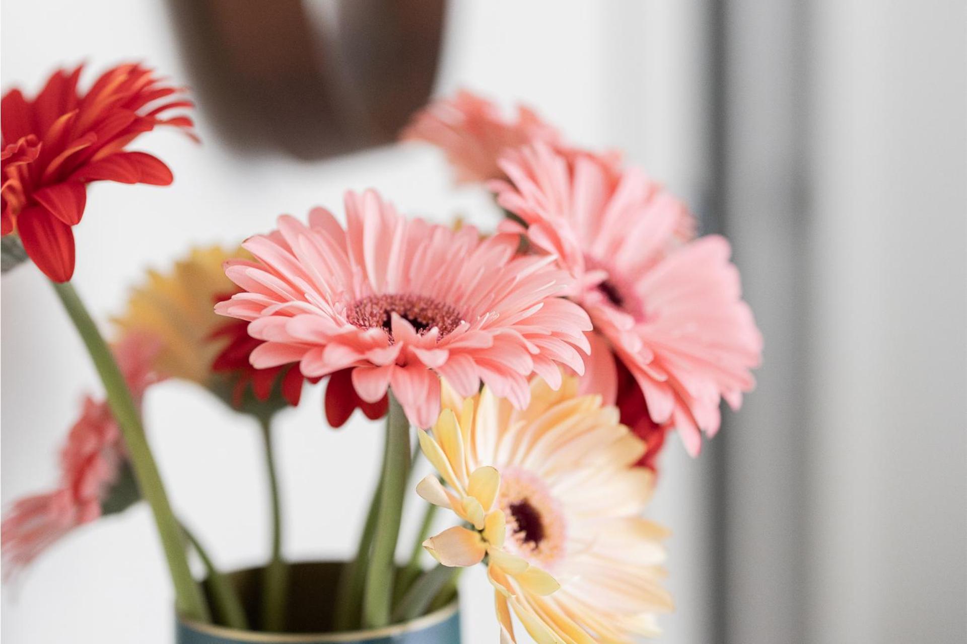 Porta Nera Private Living - adults only