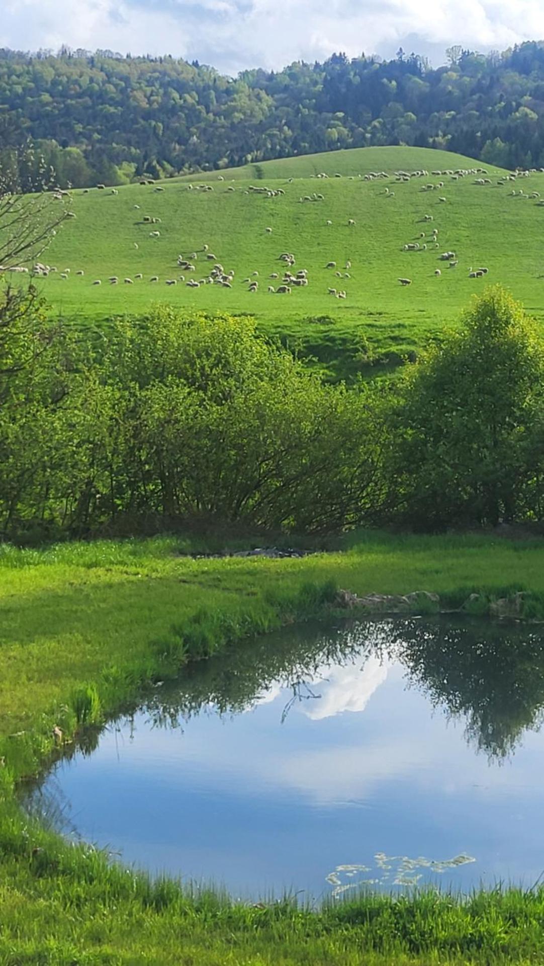 Bieszczadzkie Wspomnienie Lawendowy Dwór
