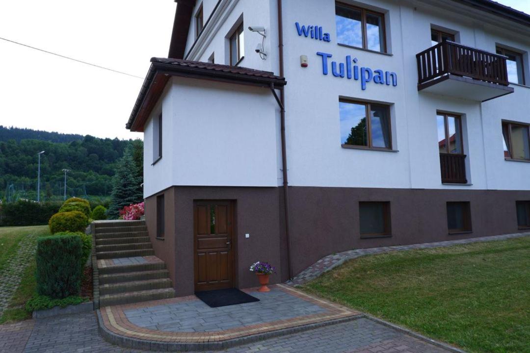 Willa Tulipan