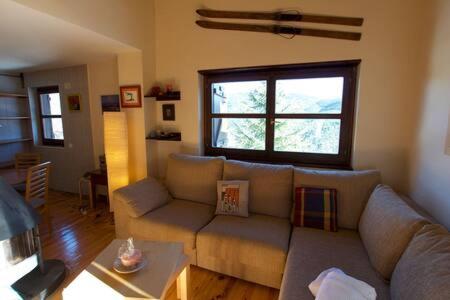 Apartament Font dels Recons