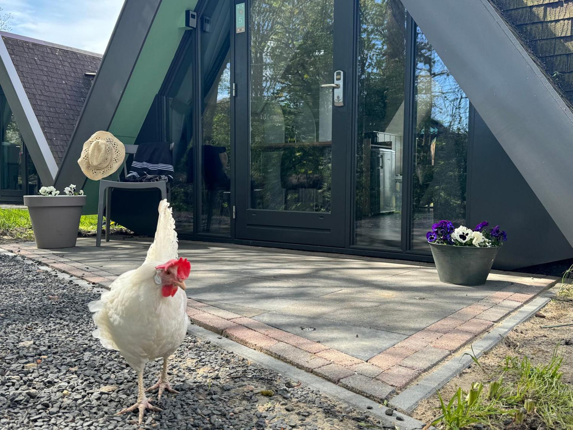 Hotelhuisjes Medemblik