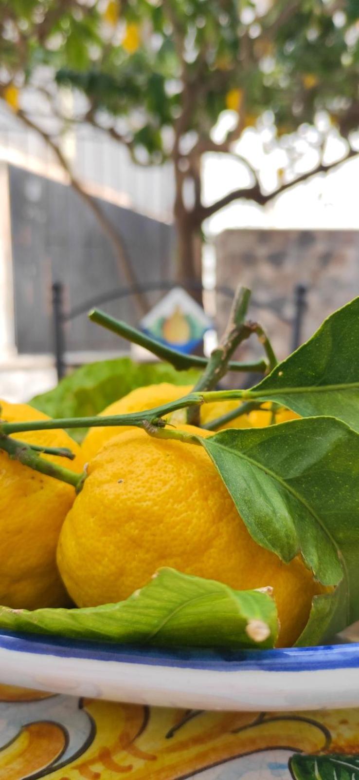 Casa Fortuna a DUE passi dal Mare