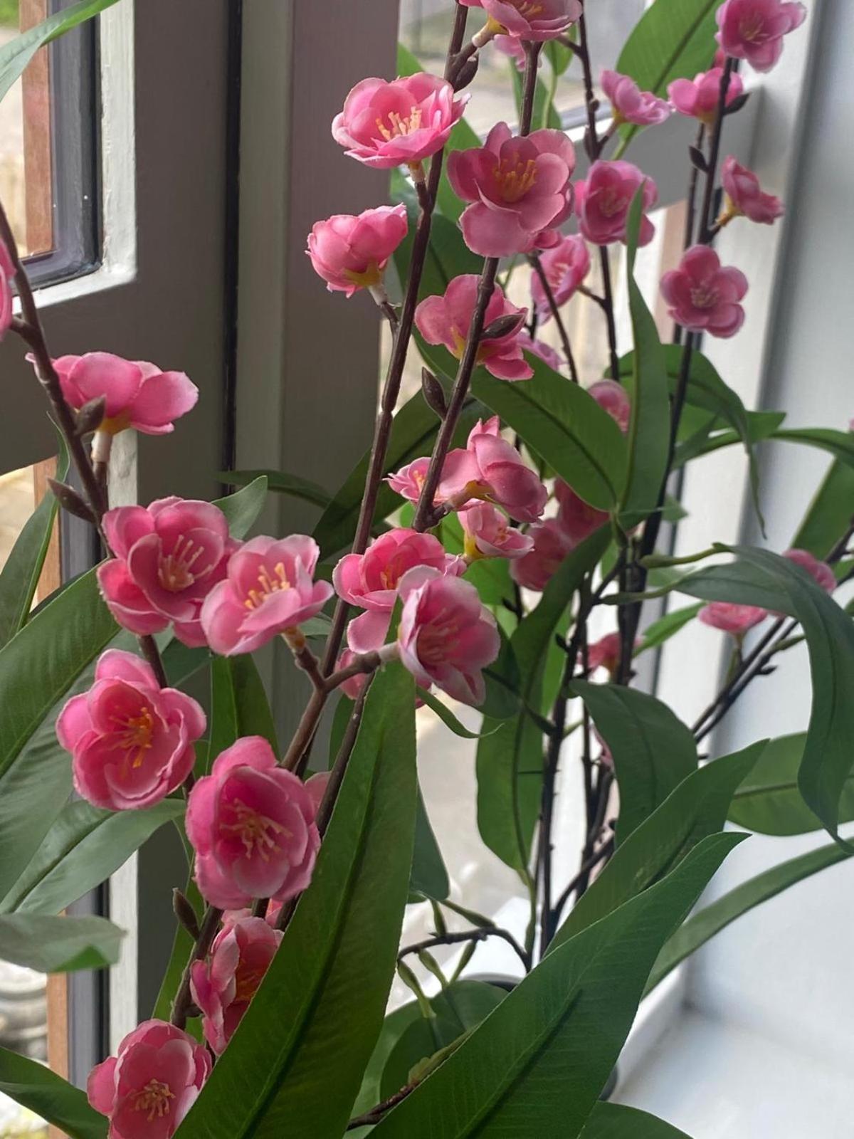 The White Hart Apartment Valley View