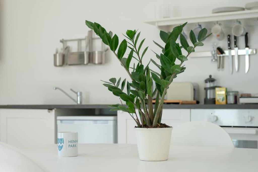 Long Range 2, Henham Park Nr Southwold