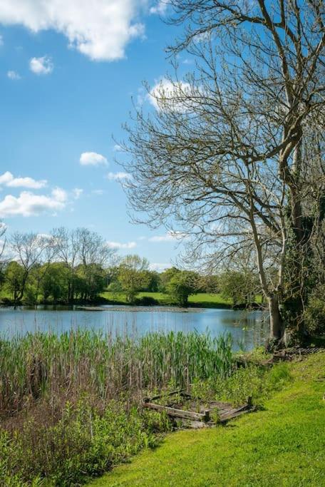 Long Range 2, Henham Park Nr Southwold