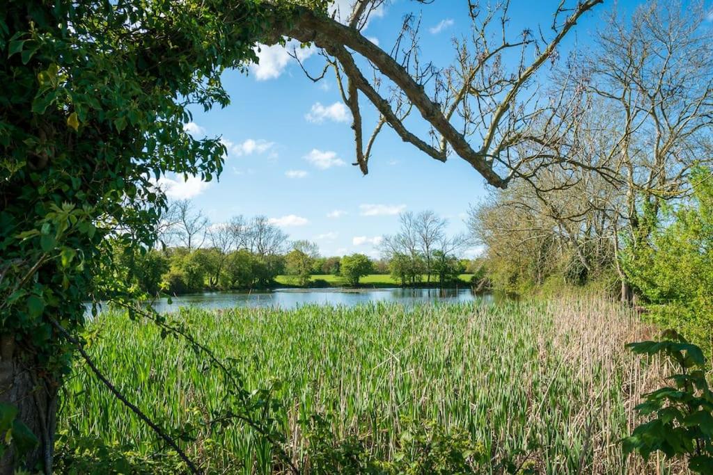 Long Range 2, Henham Park Nr Southwold