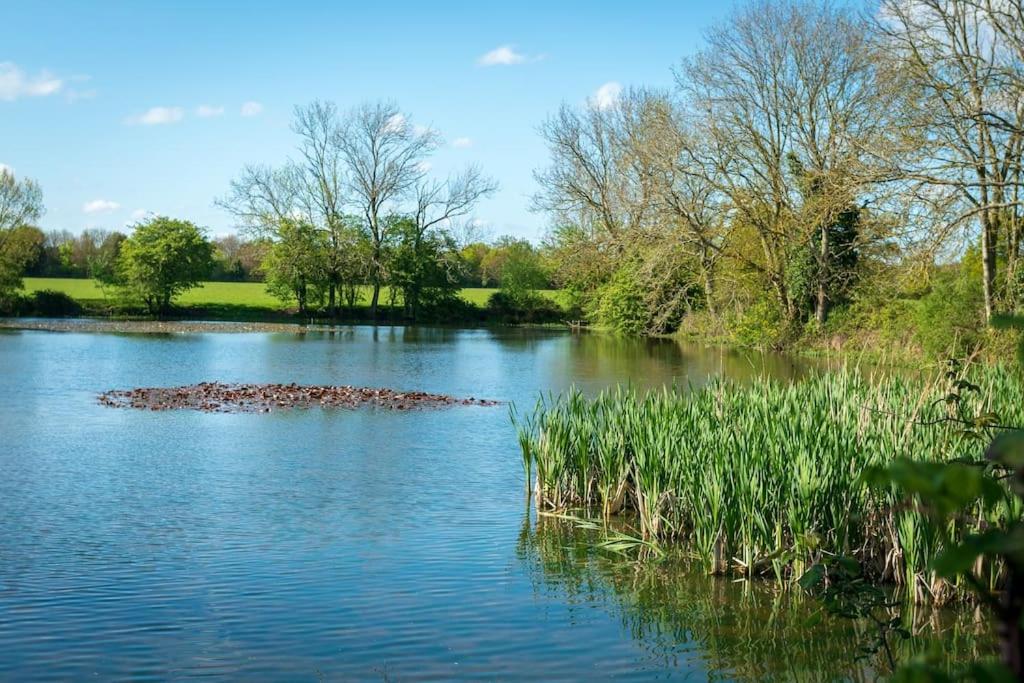 Long Range 2, Henham Park Nr Southwold