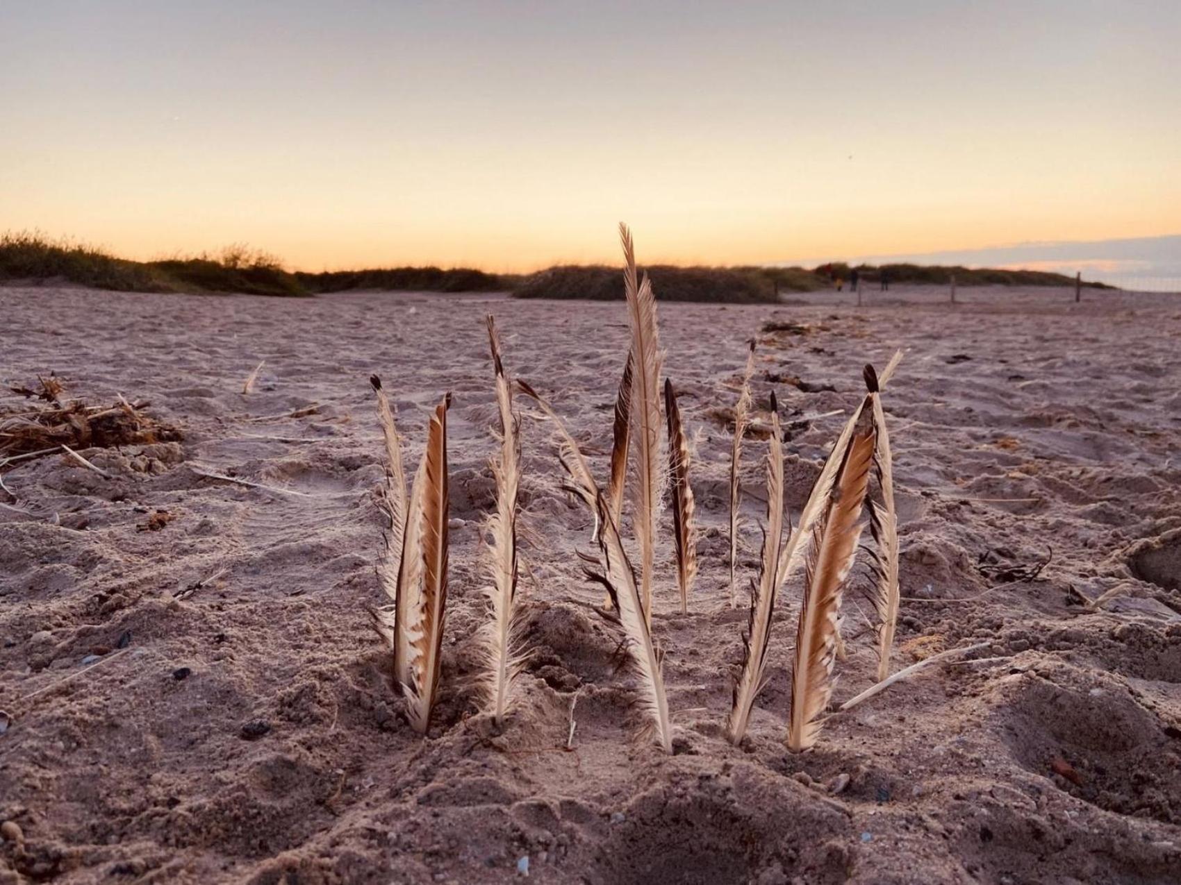 Ferien im Wangerland - Haus Wiesenweg - Ferienwohnung 1 1OG