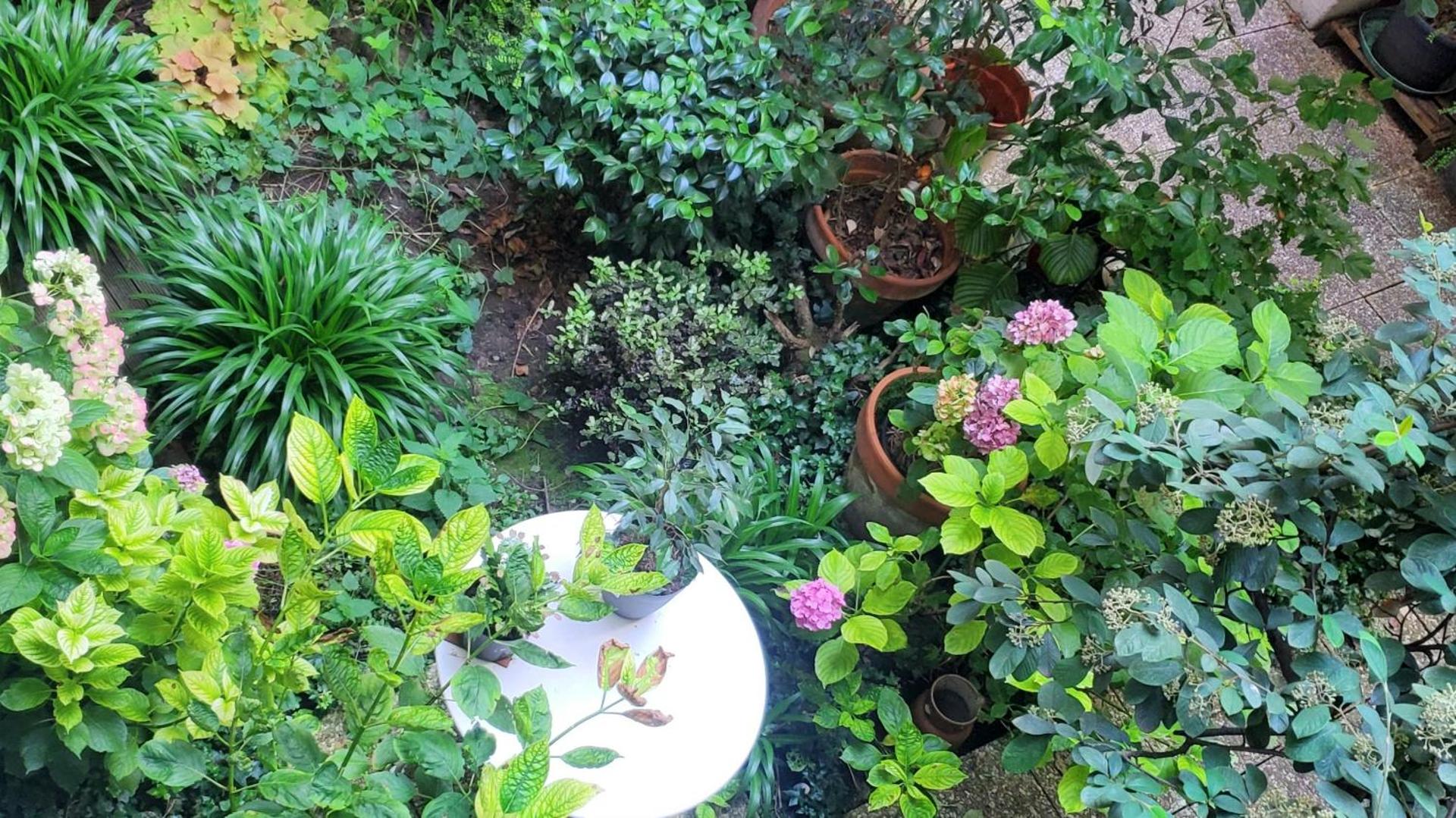 Une chambre à Paris 20eme avec un petit jardin