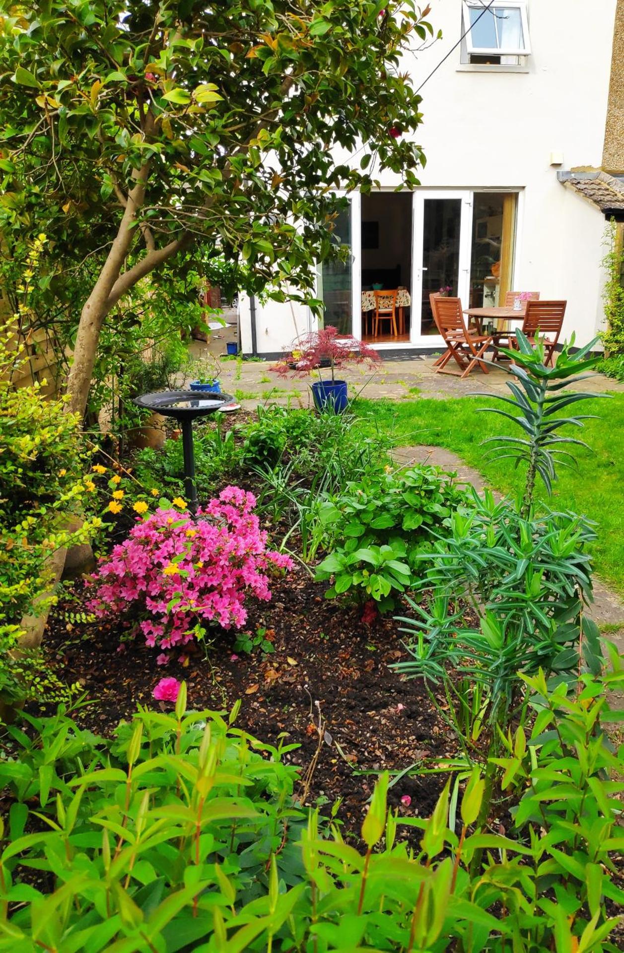 Stylish Victorian House