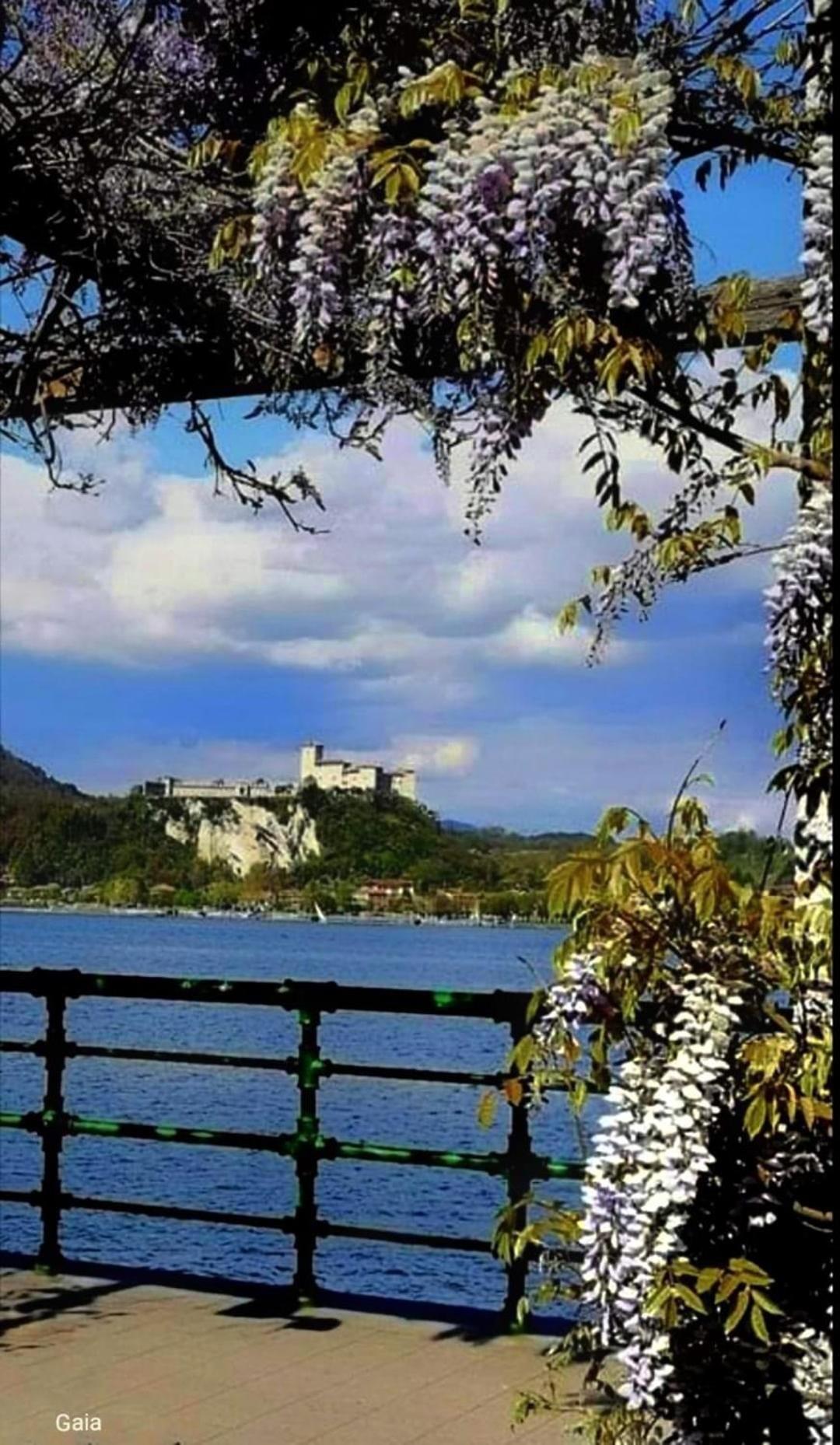 Affittacamere La Quiete