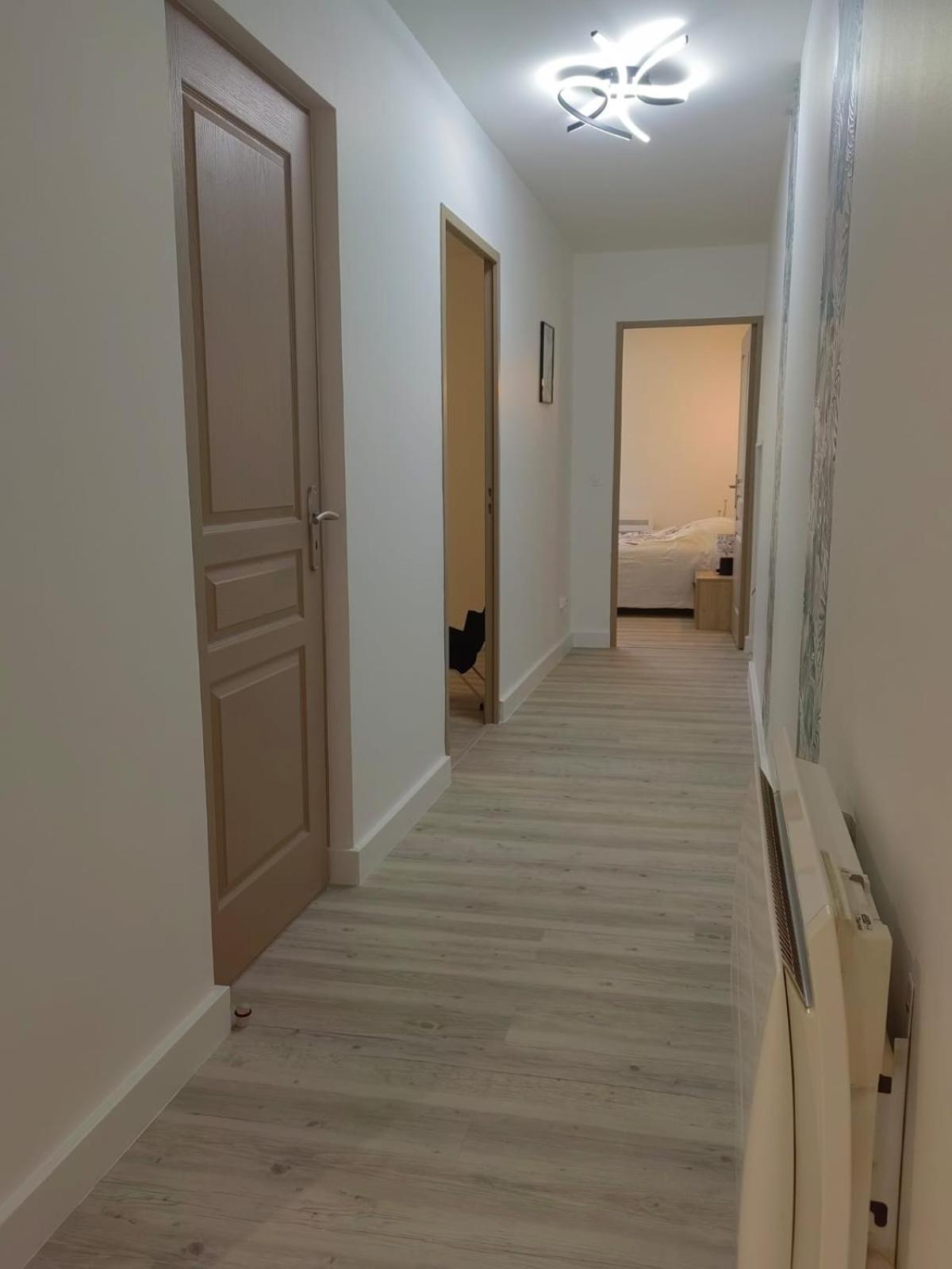 Bel appartement bord du Rhône