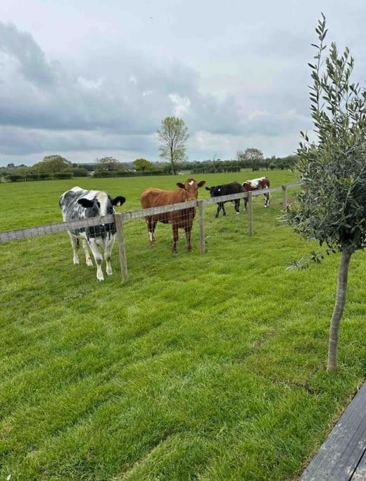 Choller Lodges - The Barn House With Hot Tub
