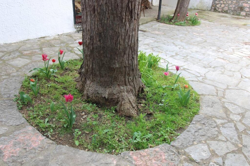 Raise Polydrosos Traditional Getaway