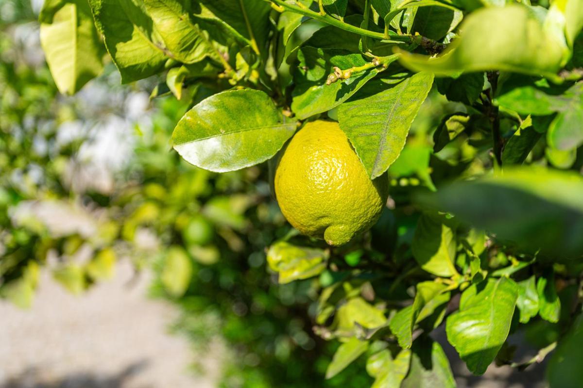 Blife Salinya private rooms at N125