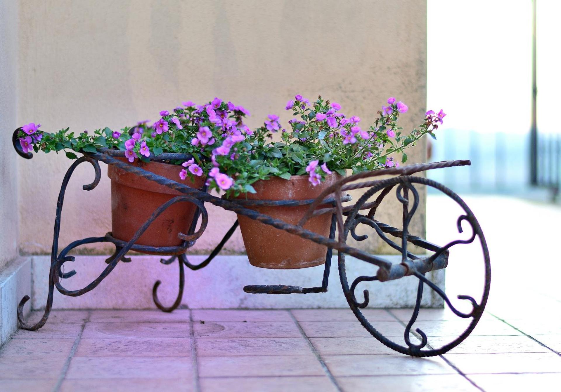 CASA VACANZE LA VALLE DEL TEVERE