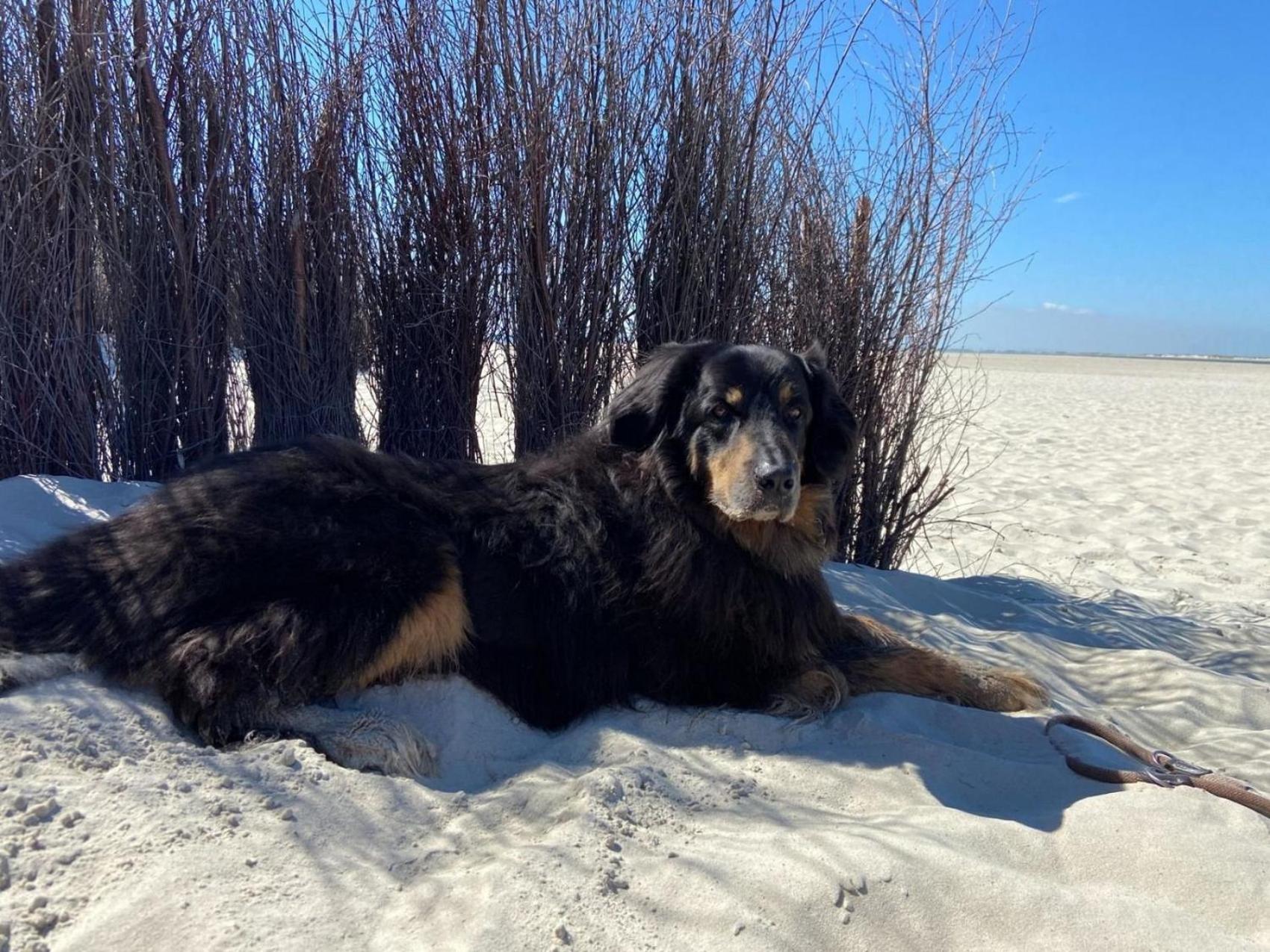 Ferien im Wangerland - Haus Wiesenweg - Apartment 3 1OG