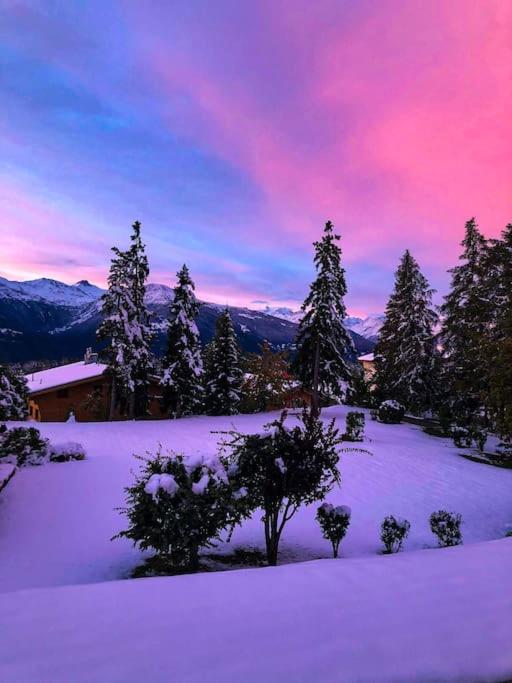 Studio cosy au calme avec terrasse vue sur Alpes