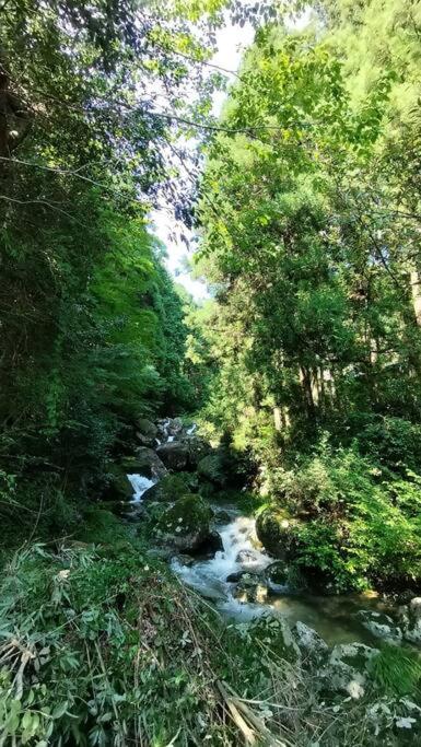 一棟貸x滝が見える半露天 自動麻雀卓 最大20名12時チェクイン後すぐにBBQ可