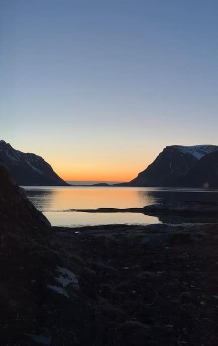 Luxury Cabin in beautiful Lofoten with Jacuzzi and sauna