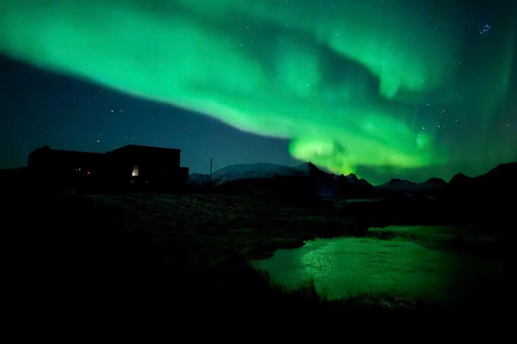 Luxury Cabin in beautiful Lofoten with Jacuzzi and sauna