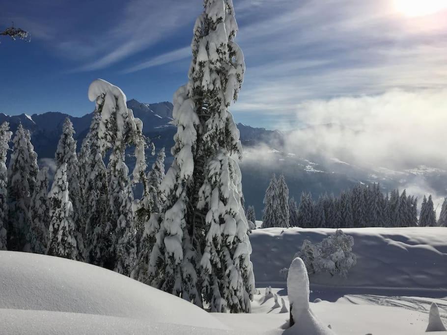 Modern LAAX apt, Swimming Pools, Wellness & Tennis